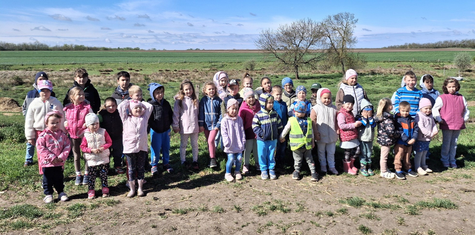 Bárányok a falu szélén