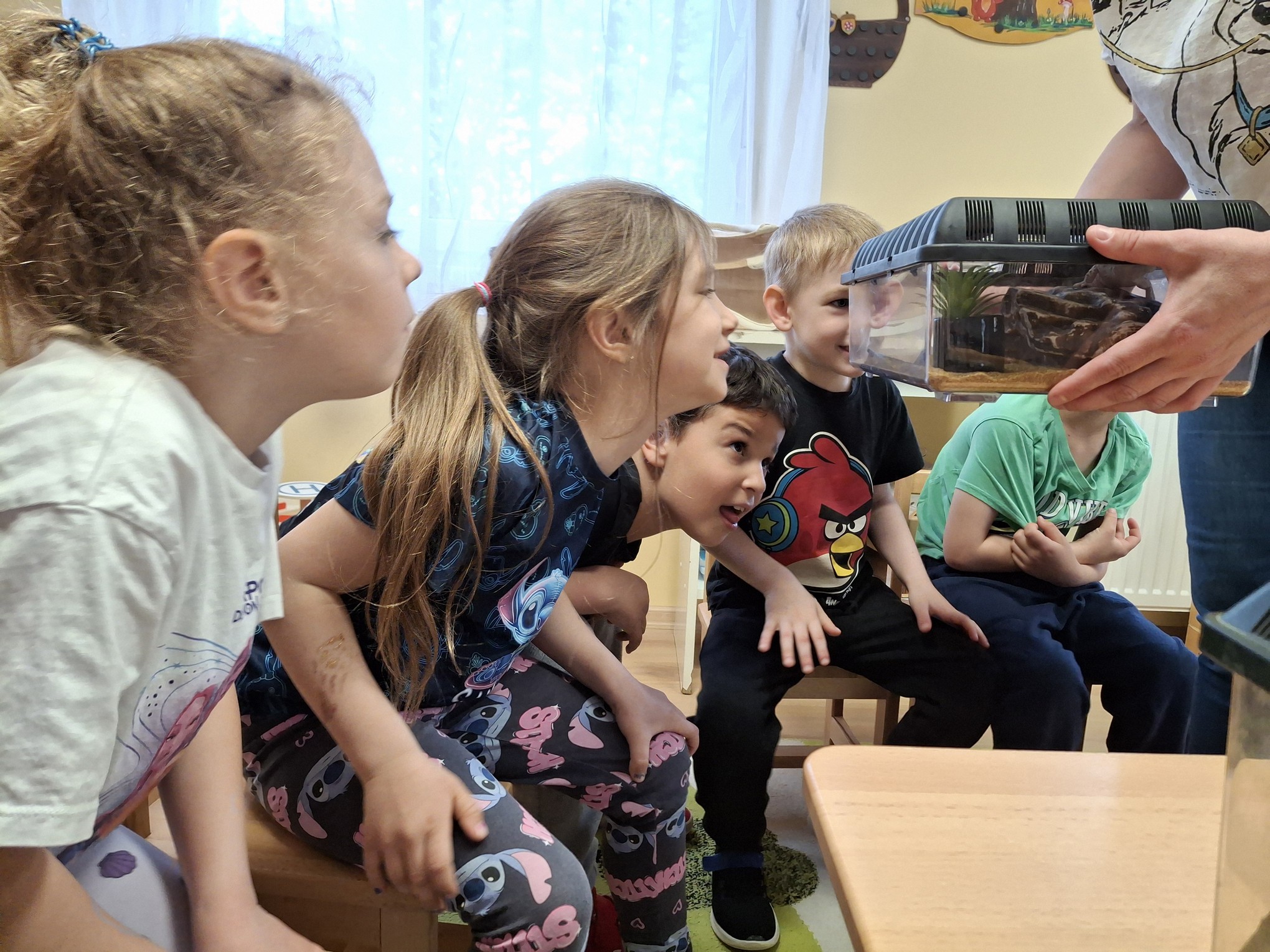 Nemszeretem állatok az óvodában