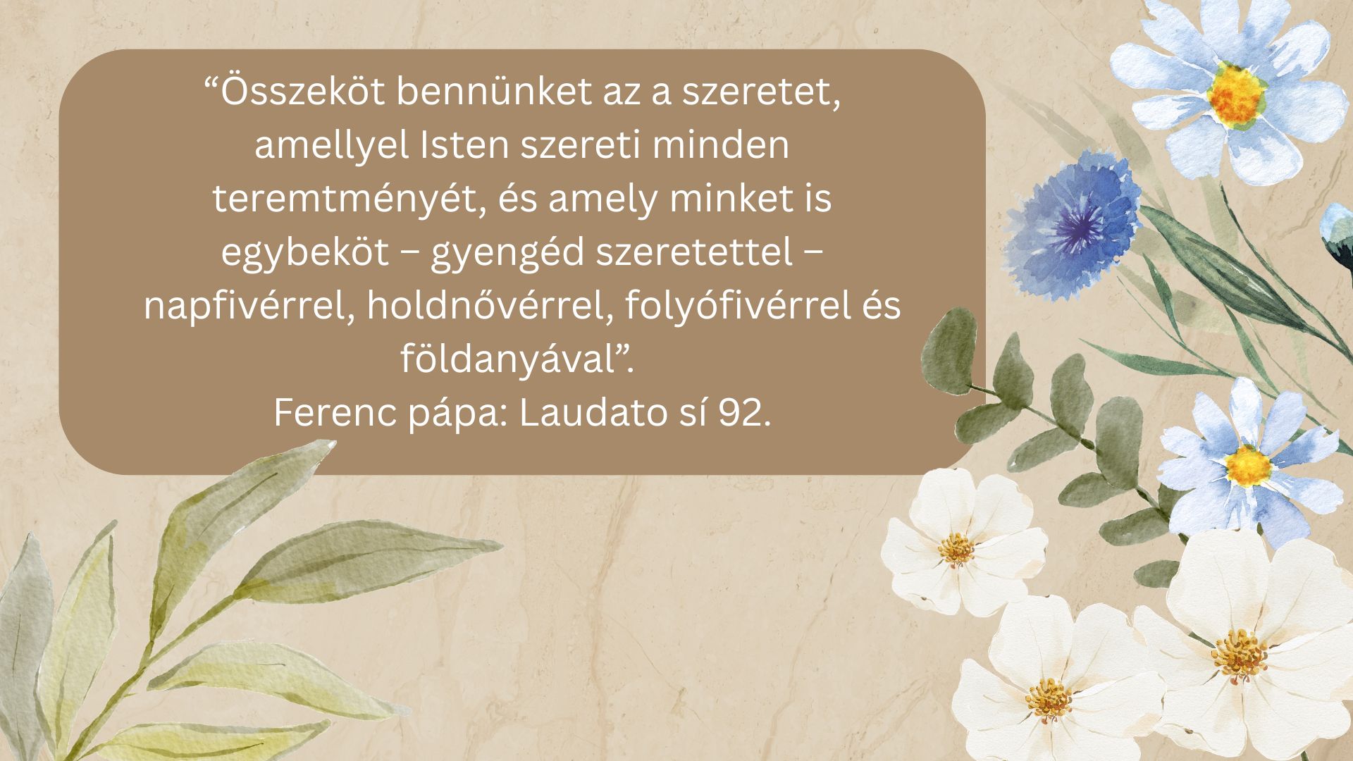 Teremtésvédelmi szakmai nap az óvodában 