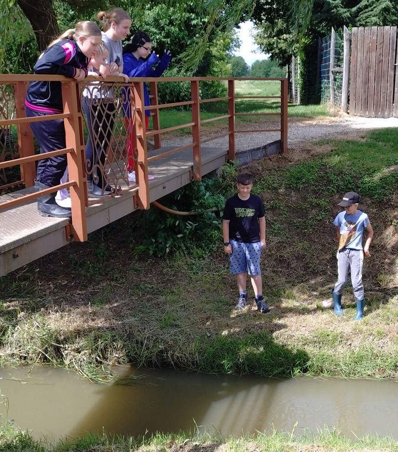 Látogatás a Kisfaludi Vadasparkban